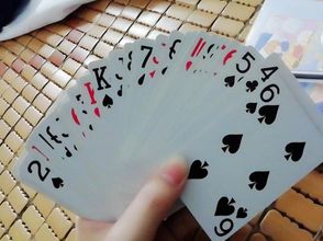 Khác 4 Youth Apartment (Shenzhen Luohu Railway Station)