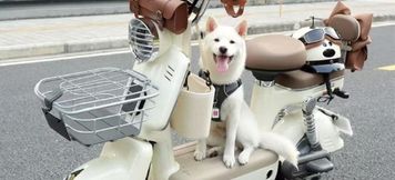 Others 4 YEZAYEZAIYUCHUAN