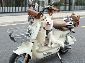 其他 4 YEZAYEZAIYUCHUAN