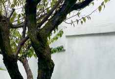 其他 2 Heishi Hidden Corner Homestay