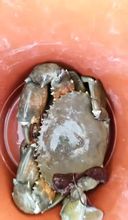 Others 4 Chenxi Homestay