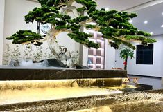 Others 3 DALI LIUYUN Hotel