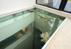 อื่นๆ 3 Yunjing Guanshan Hotel (Liancheng Guanzhai Mountain)