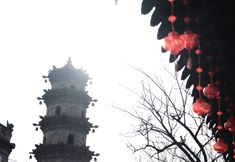 Others 6 wangta homestay