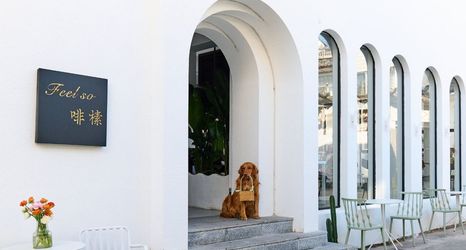 기타 2 Dali Lannatai Coffee Cute Pet Beauty Hotel