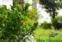 Khác 5 Huashigou Inn