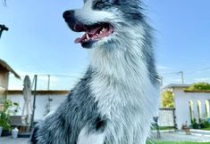 Others 3 Left bank•la vie Pool Resort