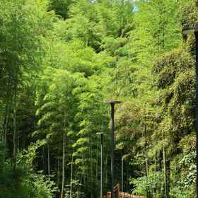Hotel Exterior1BOLSSOM HOUSE CHENGXI HANGZHOU,淳安县飯店