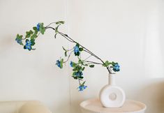 Others 5 Blenz Hotel