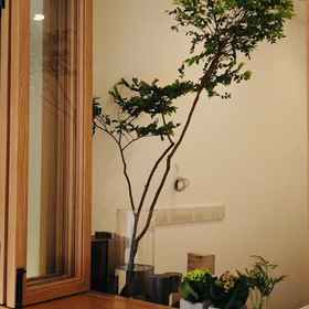 Hotel Exterior 1 Yue hotel, Hotel Chen Clan Academy