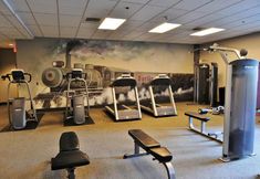 其他 3 Bright Recently Upgraded Apt – Downtown Location