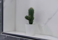 Others 7 Cozy & Stylish Apartment Near Kaleici City Center