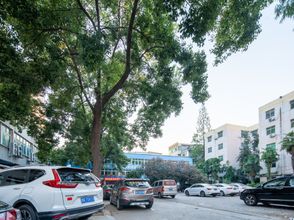 其他 4 nanyan youran hotel