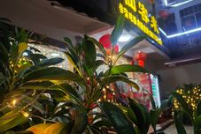 Lainnya Cyclamen Homestay