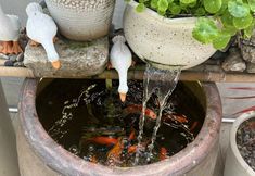 Lain-lain 6 Tingfengyi Guesthouse