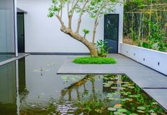 Khác 7 Xiaozhai Courtyard