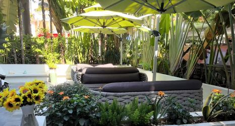 其他 2 Oulanya Weilan Homestay (Dadonghai Branch)