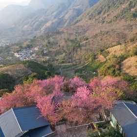 Hotel Interior/Public Areas 1 Lüli Homestay (Baoshan Baihualing), Changning Xian Hotels