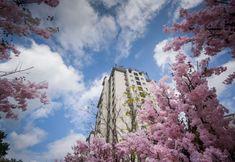 其他 2 Wenchengtian Shengyijing·Health Manor