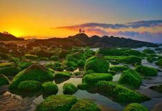 Others 5 Fenglin Evening Movie Hotel