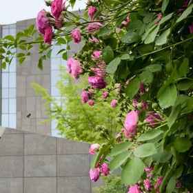 Hotel Exterior 1 수이모 창안 아트 호텔, 란톈 시안 호텔