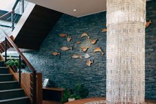 其他 The Adagio Shitiping