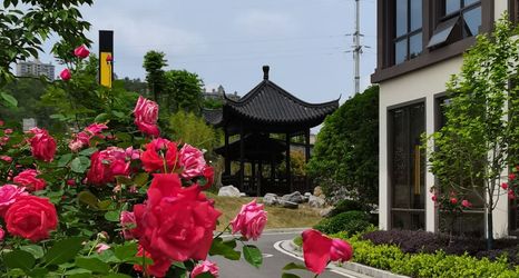 Others 2 Wellton International Hotel (Shangyou)