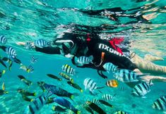 Others 2 Lingshui Banxia Hotel (Clear Water Bay)