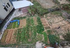 Khác 6 Yangchun Spring Neighbor • Riyue Huayuan Homestay