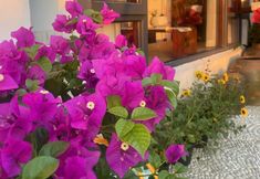 Others 5 Tiantai Chenmu Homestay (Tiantai Mountain Scenic Area)