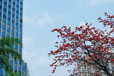 Lain-lain Huahai Hotel (Guangzhou Jiangnanxi changgang Metro Station)