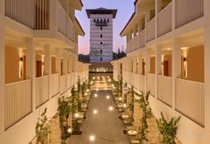 기타 5 Paloma Grida