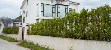 Khác 2 Moganshan Dream Homestay