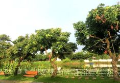 Lain-lain 2 Flower Fairy RV Camp