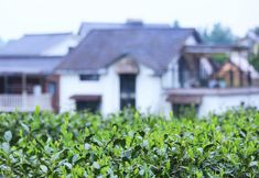 Others 3 Qingfan Hexi Inn