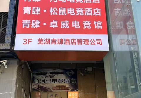 其他 Wuhu Hippo E-sports Hotel (University Town)