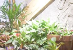 其他 7 Xijiang Qianhu Miaozhai Yanqi Homestay (Luxury Showgrounds)