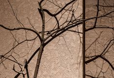 其他 5 See yourself Yueshan B&B (Xijiang Qianhu Miao Village Observation Deck)