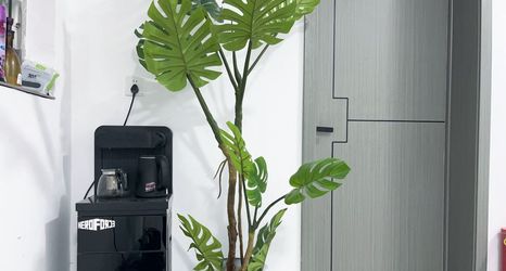 อื่นๆ 2 xi bo she jian