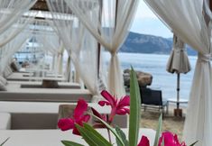 Others 2 Z-Villas Beach Hotel