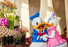 기타 5 Diyun Pavilion