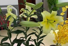 Others 2 Tiebingyuan Inn