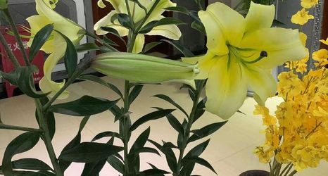 Others 2 Tiebingyuan Inn