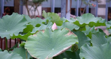 기타 2 Gloria Grand Hotel