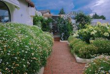 Others Alisha Secret Garden homestay