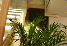 其他 4 Xijiang Qianhu Miaozhai Yanqi Homestay (Luxury Showgrounds)