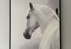 Others 3 Shell Hotel (Lianyungang Zaihai Yifang Jiaruibao Square)