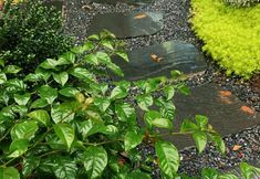 Others 7 Xiangbanhuajian B&B (Qinling Wildlife Park)