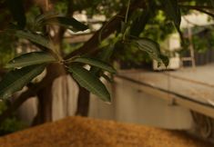 Khác 7 MUHE GLAMPING