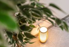 其他 4 Time Sign Riverview Homestay